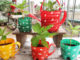 Recycle Plastic Bottles Into Colorful Teapot Flower Pots For Your Balcony And Small Garden