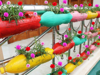 Recycle A Range Of Gardening Plastic Bottles Along The Beautiful Balcony