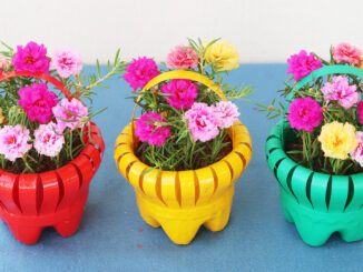 Recycle Plastic Bottles To Make Beautiful Flower Baskets To Grow Portulaca (Moss Rose)
