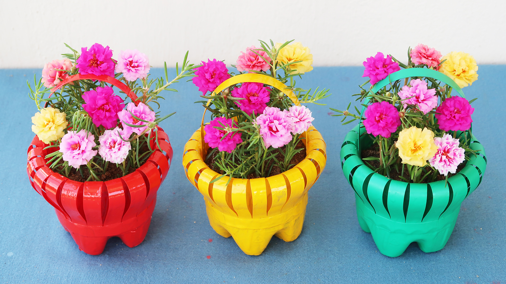 Recycle Plastic Bottles To Make Beautiful Flower Baskets To Grow Portulaca (Moss Rose)