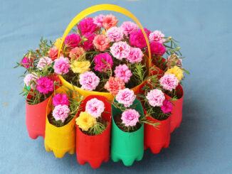 Recycle Plastic Container To Make Beautiful Flower Pots