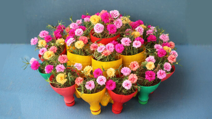 Recycling Ideas Plastic Bottles Gardening Flowers 3 Storey Pyramid Beautiful Colorful