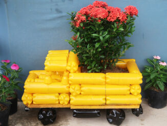 Great Garden Idea, Recycle Plastic Bottles Into Planting Truck For Small Garden