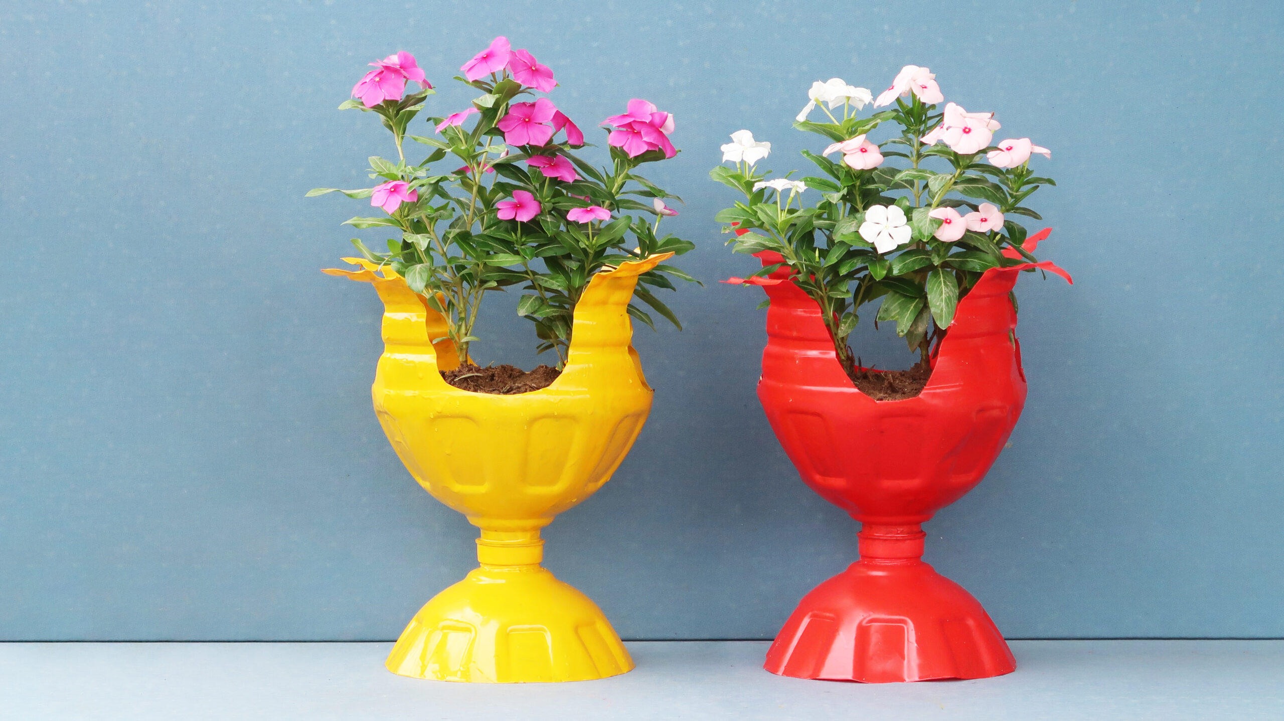 DIY Colorful Flower Pots From Recycled Plastic Bottles For Stunning Gardens