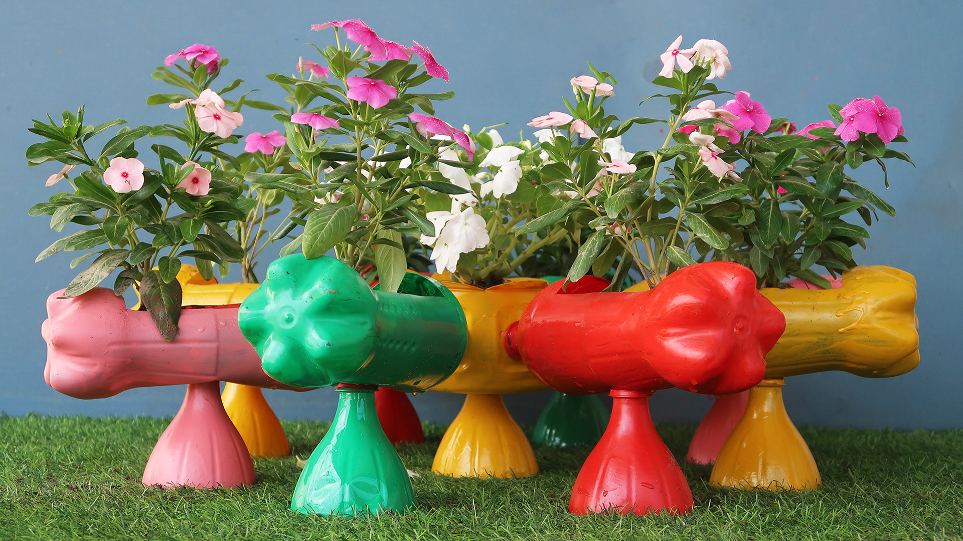Unique And Innovative idea, Recycle Plastic Bottles Into A Beautiful, Colorful Flower Garden