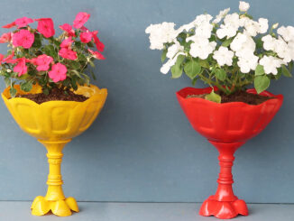 Beautiful Colorful Flower Pot Ideas From Plastic Bottles