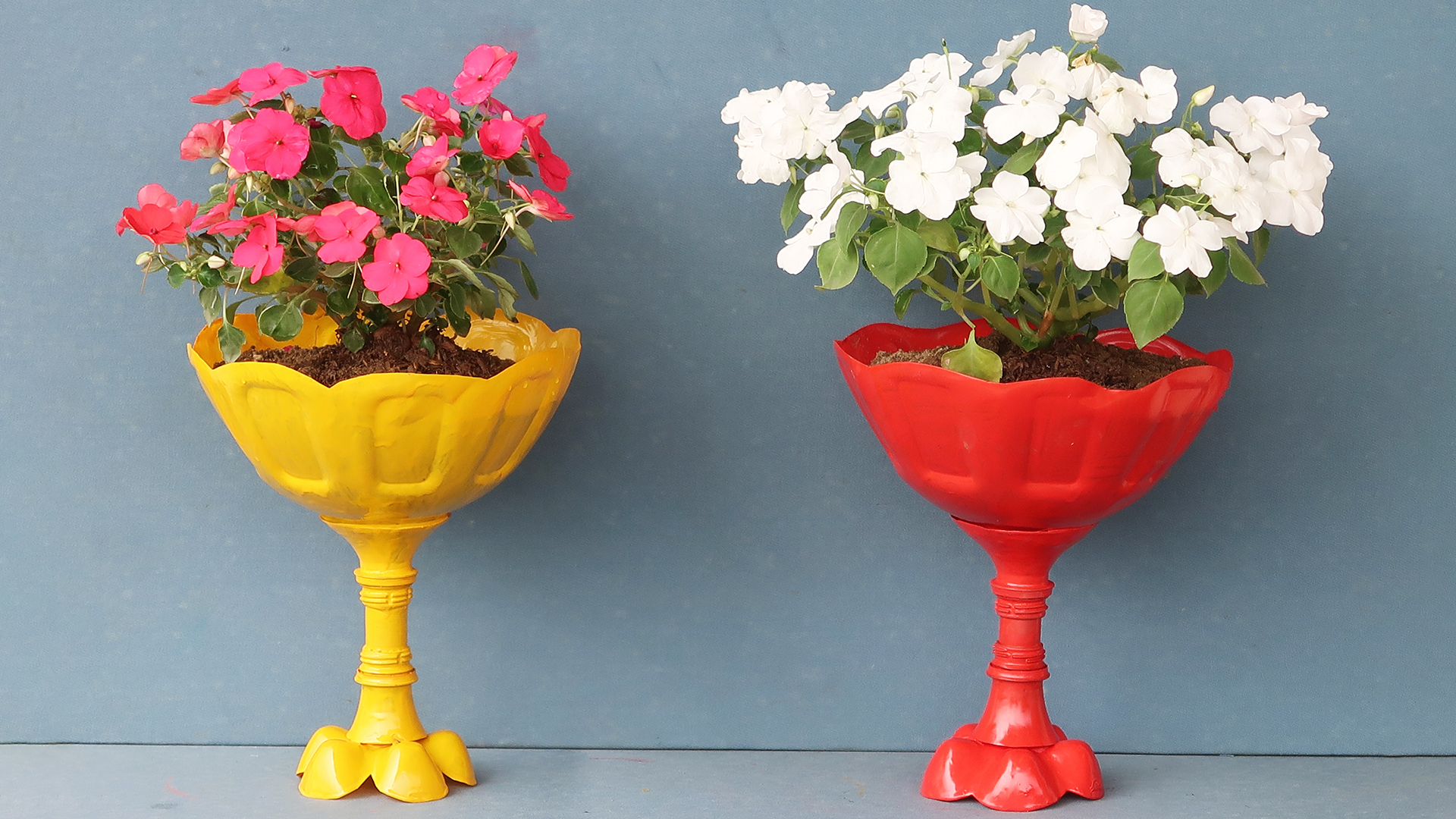Beautiful Colorful Flower Pot Ideas From Plastic Bottles