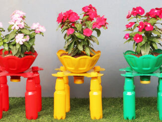 Unique and creative with beautiful colorful flower pots from recycled plastic bottles