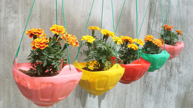 How To Make A Hanging Bottle Garden / Plastic Bottle Hanging Plants ...