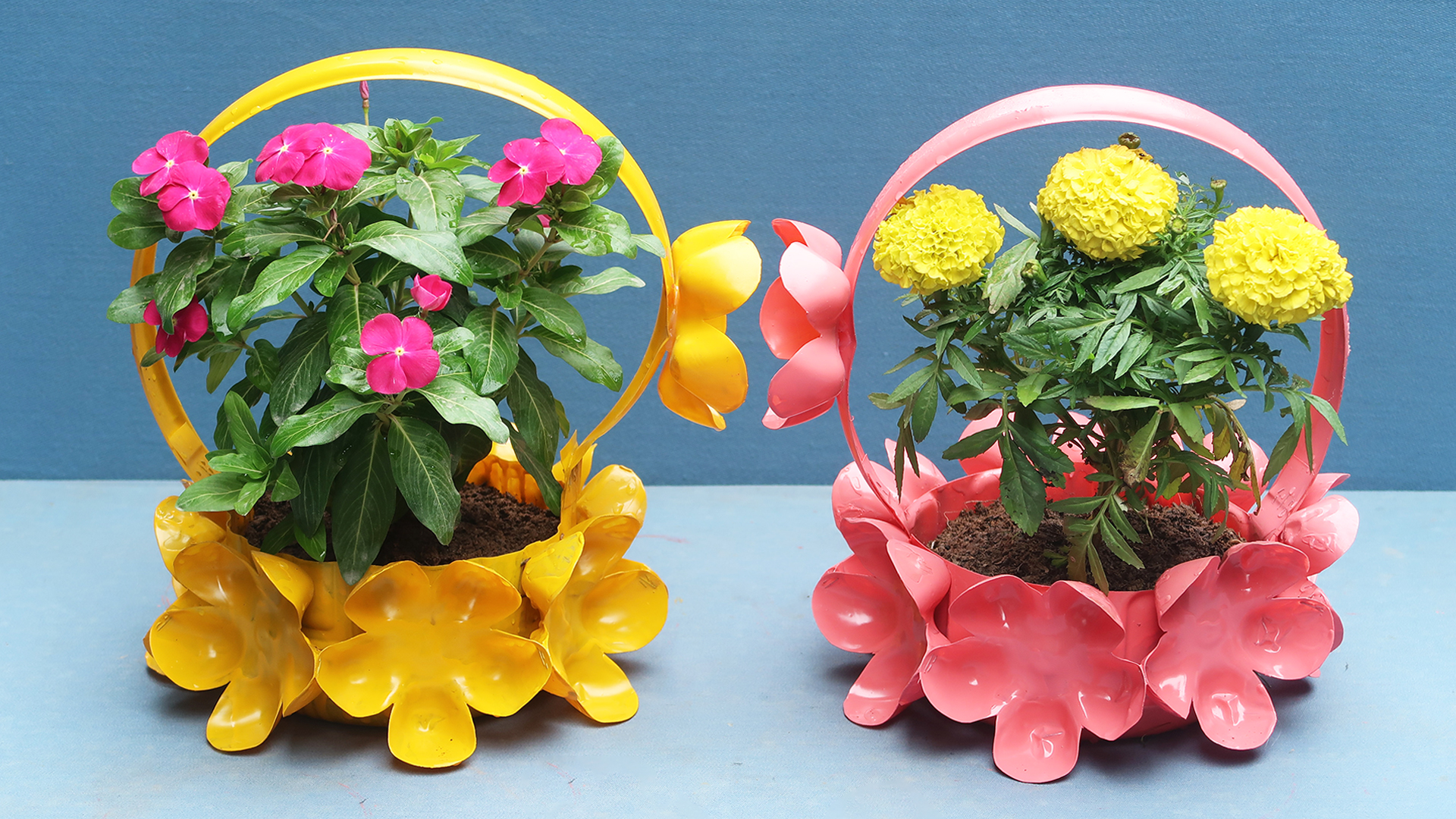 Great Recycling Idea, Beautiful Flower Pots From Discarded Plastic Bottles