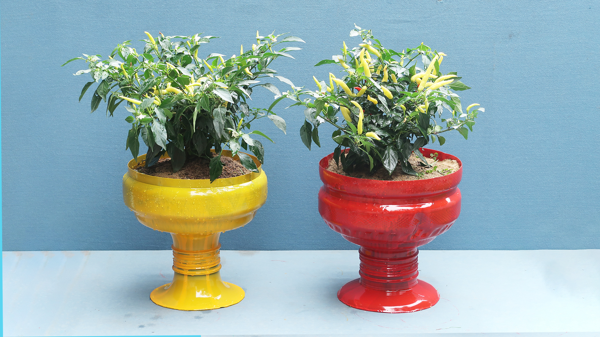 Beautiful DIY Potted Plant Ideas For The Garden