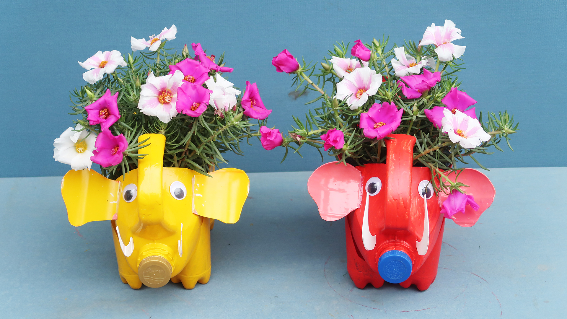 Amazing Flower Pot Ideas _ Recycle Your Laundry Detergent Into A Beautiful Pet Flower Pot