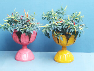 Creative Potted Plant Ideas From Discarded Plastic Bottles