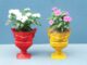 DIY Beautiful Colorful Flower Pots From Plastic Bottles For Small Gardens