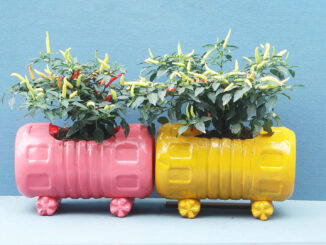DIY Ideas Colorful Potted Gorgeous From Recycled Plastic Bottles For Small Gardens