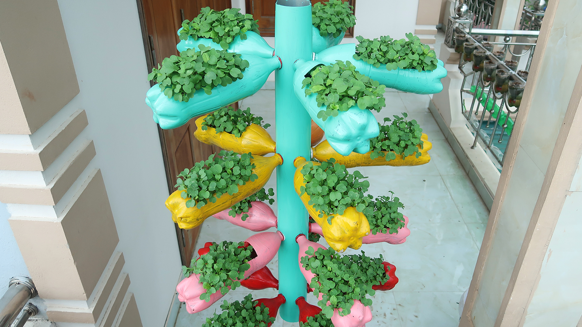 Recycling Plastic Bottle For Hanging Garden