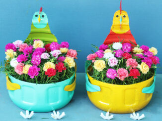 Beautiful flower garden ideas from plastic bottles