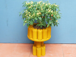 DIY beautiful cement pots from old plastic bottles