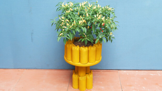 DIY beautiful cement pots from old plastic bottles