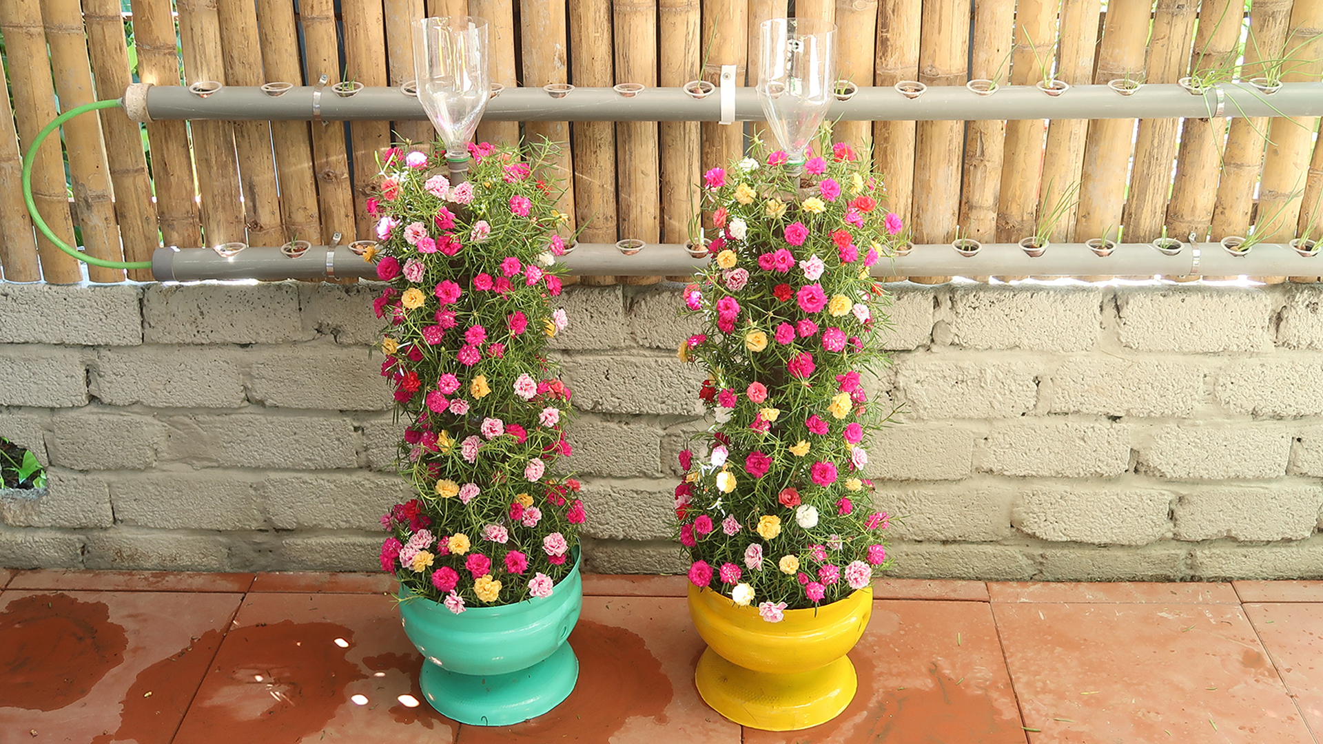 Beautiful Portulaca (Mossrose) garden tower from recycled plastic bottles