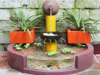 Creative outdoor fountain ideas | DIY aquarium from cement and bricks