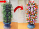 Creative jade flower garden ideas - How to grow beautiful jade flowers for the garden (1)