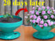 Creative Flower Pots, Beautiful Simple Flower Breeding Ideas