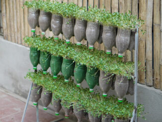 Creative Hanging Garden, Great DIY Sprout Garden Ideas