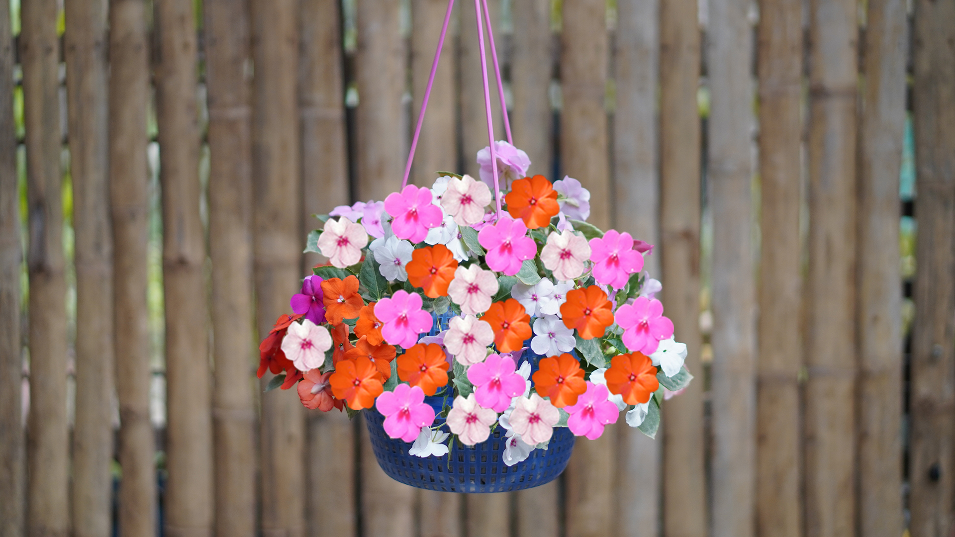 Creative Hanging Garden Ideas To Plant Beautiful Flowers For The Garden