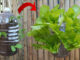 Hanging Garden To Grow Vegetables At Home Created From Plastic Bottles
